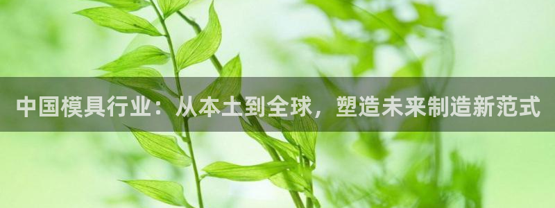 8827太阳集团：中国模具行业：从本土到全球，塑造未来制造新