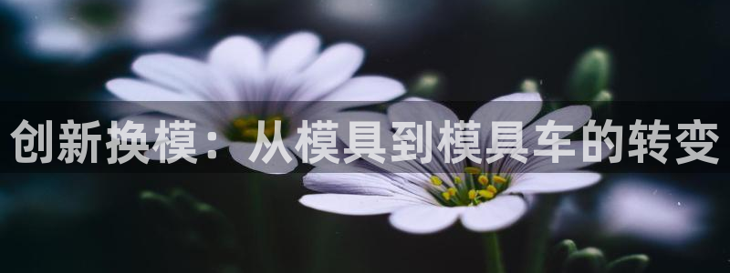 太阳集团娱乐全部网址视频
