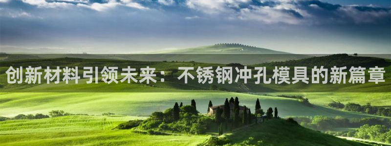 2007so太阳集团下载：创新材料引领未来：不锈钢冲孔模具的新篇章