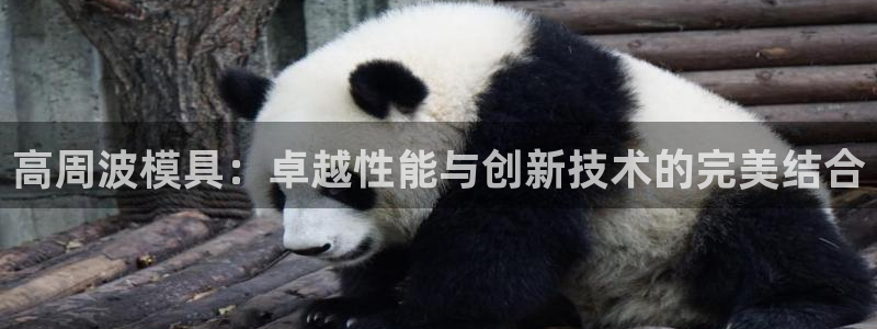 太阳appvip
